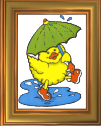 Ducky in the rain